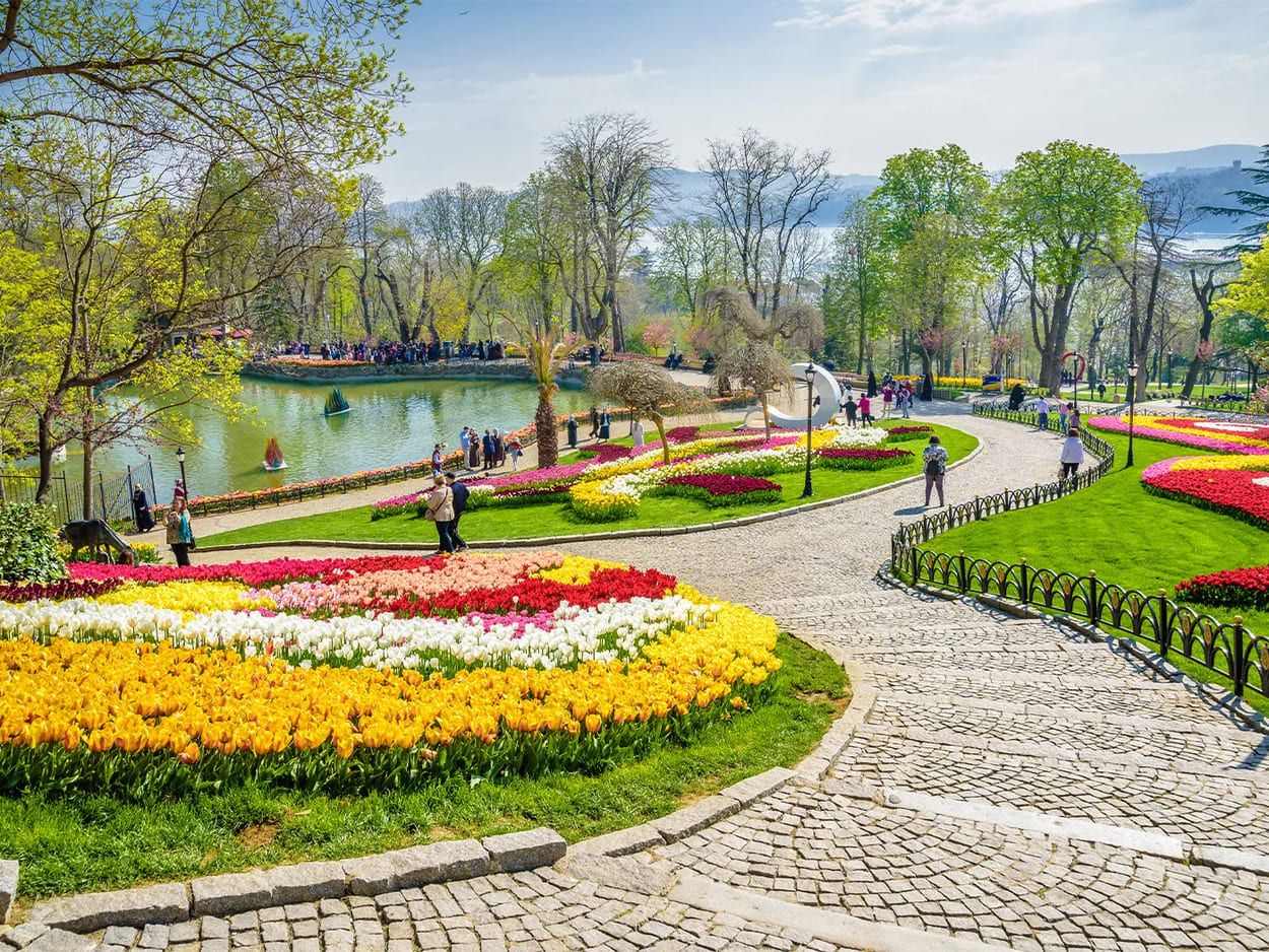 🌟 Интересные экскурсии