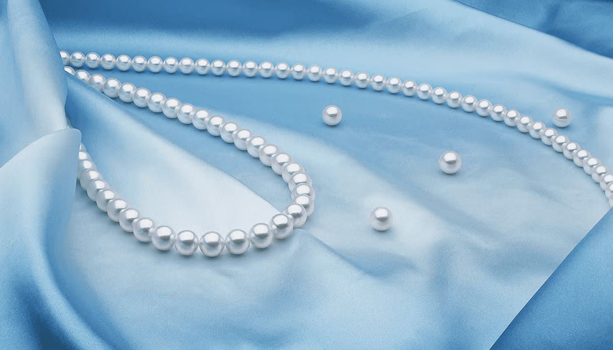 🐚 Что привезти из сувениров