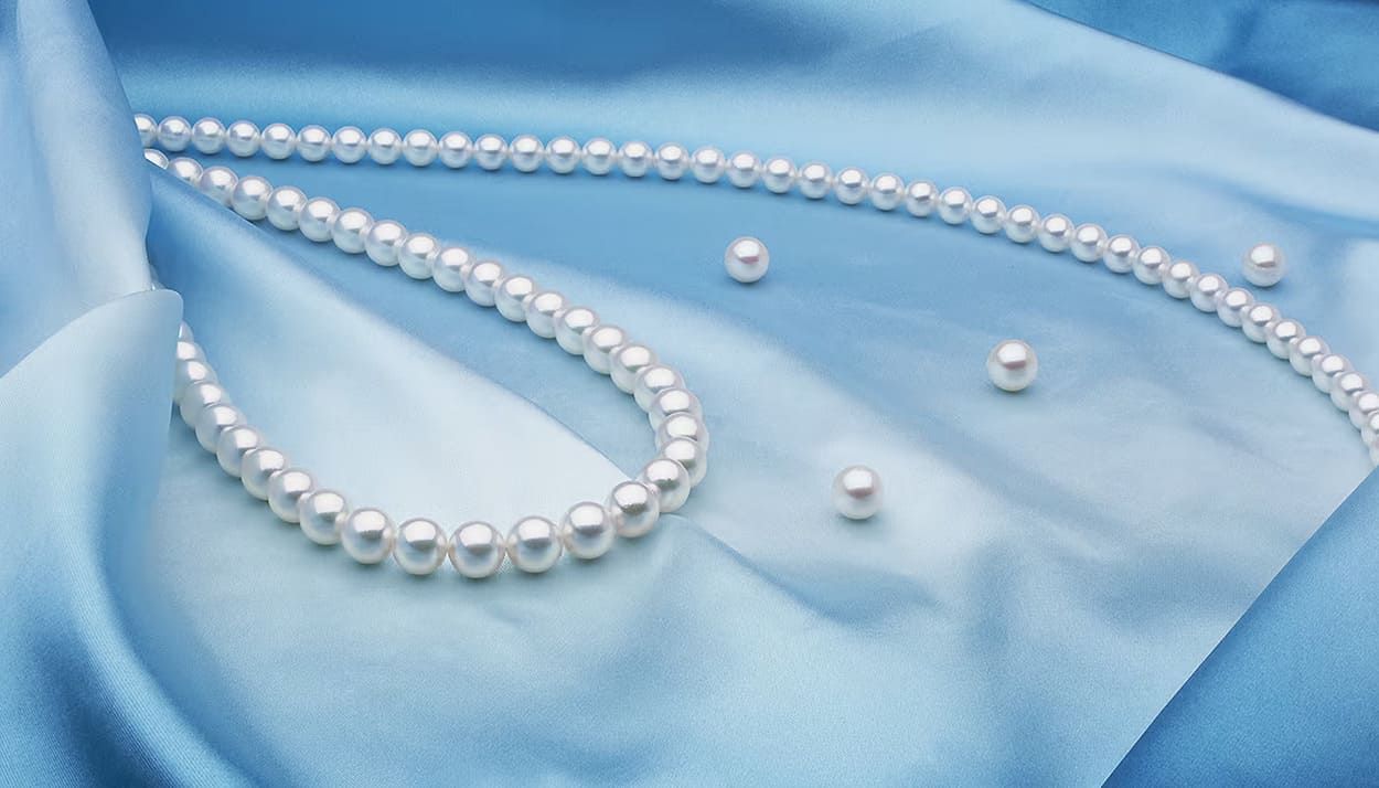 🐚 Что привезти из сувениров