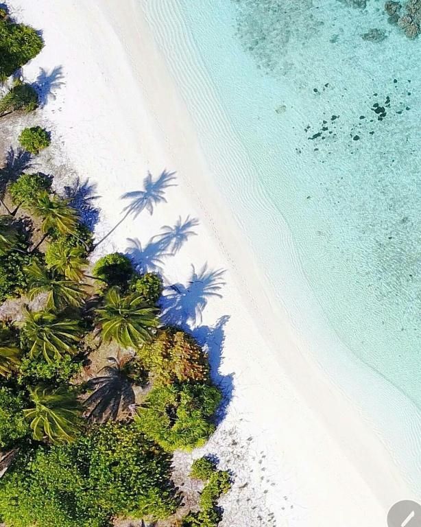 summer sky thoddoo 3*