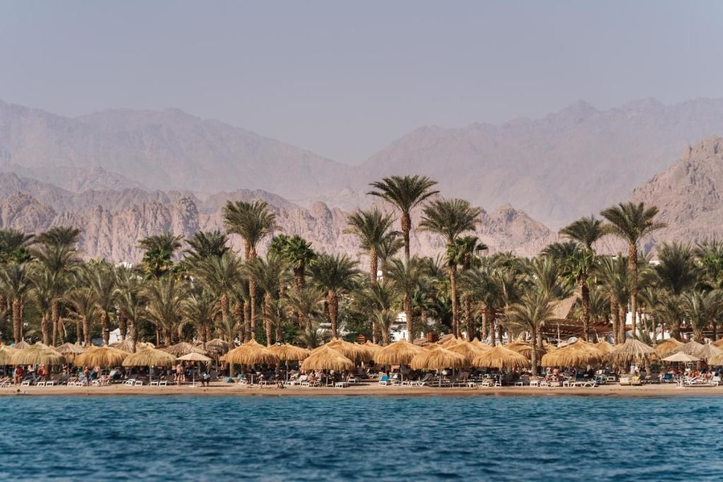 jaz fayrouz resort (ex. hilton sharm fayrouz resort) 4*