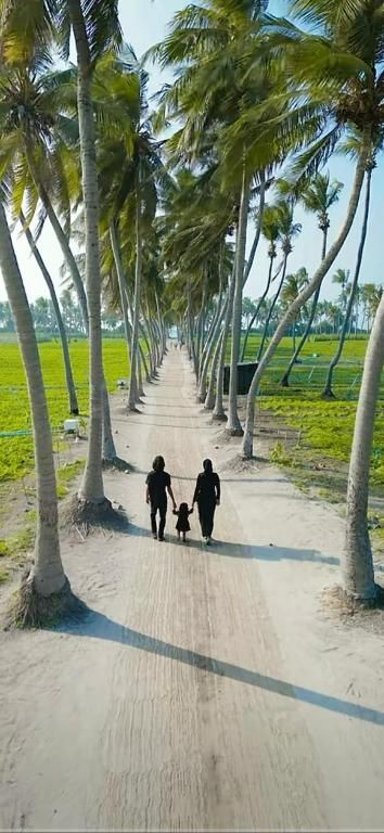 alesara guest house 3*