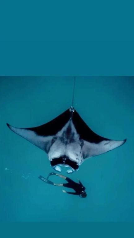 oceanvine, adh, mahibadhoo 3*