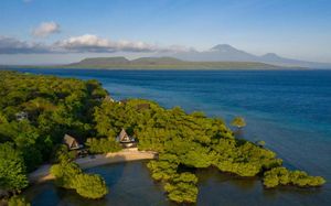 plataran menjangan resort and spa 5*