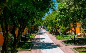 ozlem garden 3*