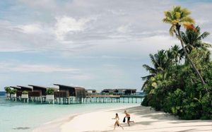 park hyatt maldives hadahaa (ex. alila villas) 5*