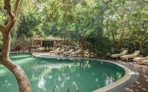 uga jungle beach resort 5*