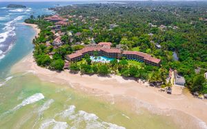 the palms 4*