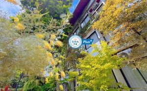 ideo phuket hotel 3*