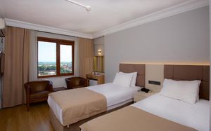 grand ant hotel 3 *