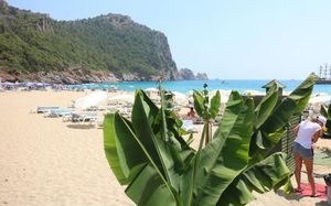 hotel kleopatra 3*