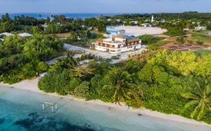 olive goidhoo