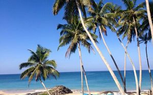 rainbow beach resort 3*