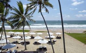 ekho surf 5*
