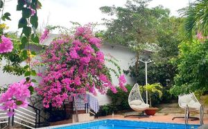 hanh ngoc resort (ex.hanh ngoc bungalow) 2*
