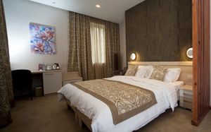 iberia didube hotel 4*