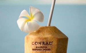 conrad maldives rangali island 5*