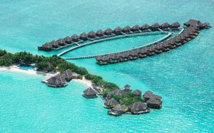 taj exotica resort & spa 5*
