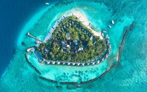 taj coral reef resort & spa 5*