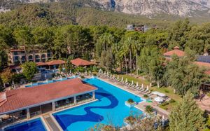 champion holiday village hv-1