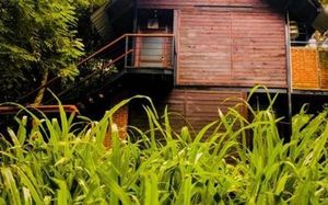 jungle village by thawthisa 4*