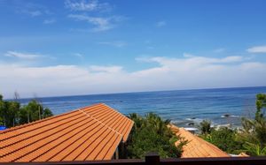 free beach resort 3*