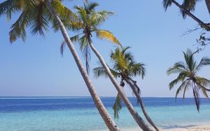 vaali maldives island escapes & dive (ex.vaali beach lodge) 3*