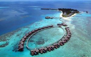 coco bodu hithi 5*