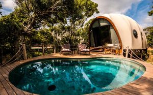 wild coast tented lodge 5*