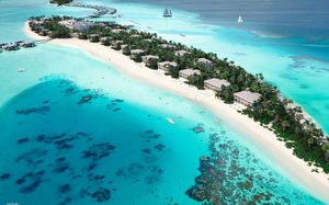 riu atoll 4*