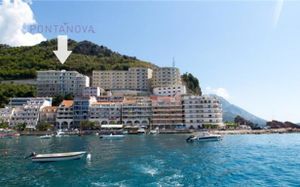ponta nova apartments 4*