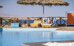club reef 4+ *