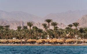 jaz fayrouz resort (ex. hilton sharm fayrouz resort) 4*
