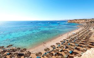 reef oasis beach resort 4*
