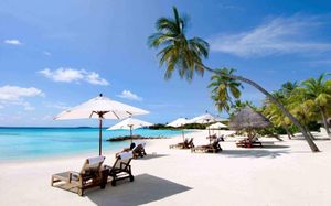 full house nha trang hotel 3*