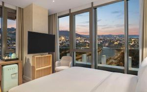 hilton garden inn tbilisi riverview 4*