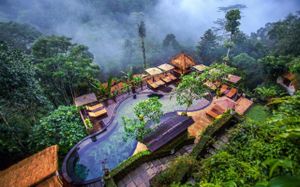 nandini jungle by hanging gardens 5*