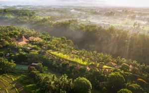 maya ubud resort & spa 5*