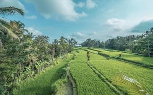 sanggraloka suite 4*