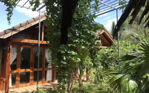 green bungalow phu quoc 3*