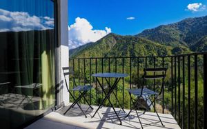 emerald borjomi hotel 4*