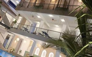 brizo paradiso polhena 4*