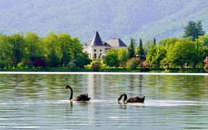 hotel lopota lake resort&spa 4*