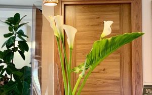port altus hotel 3*