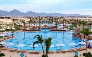 hilton sharks bay 4*