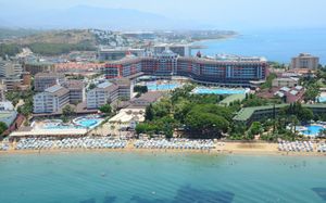 lonicera world 4*