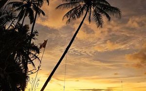 cool beach hotel 2*